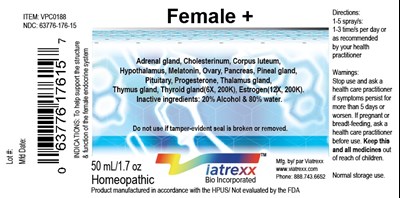 Female Plus (Female Plus)